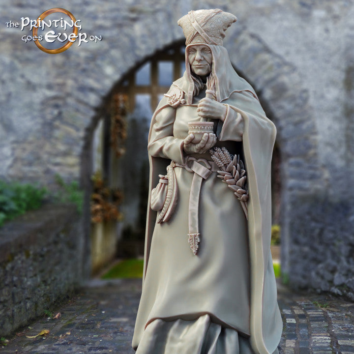 PGE - Healer Citizen of Whitcaester