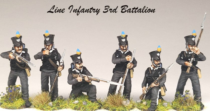 Brunswick Infantry and Artillery