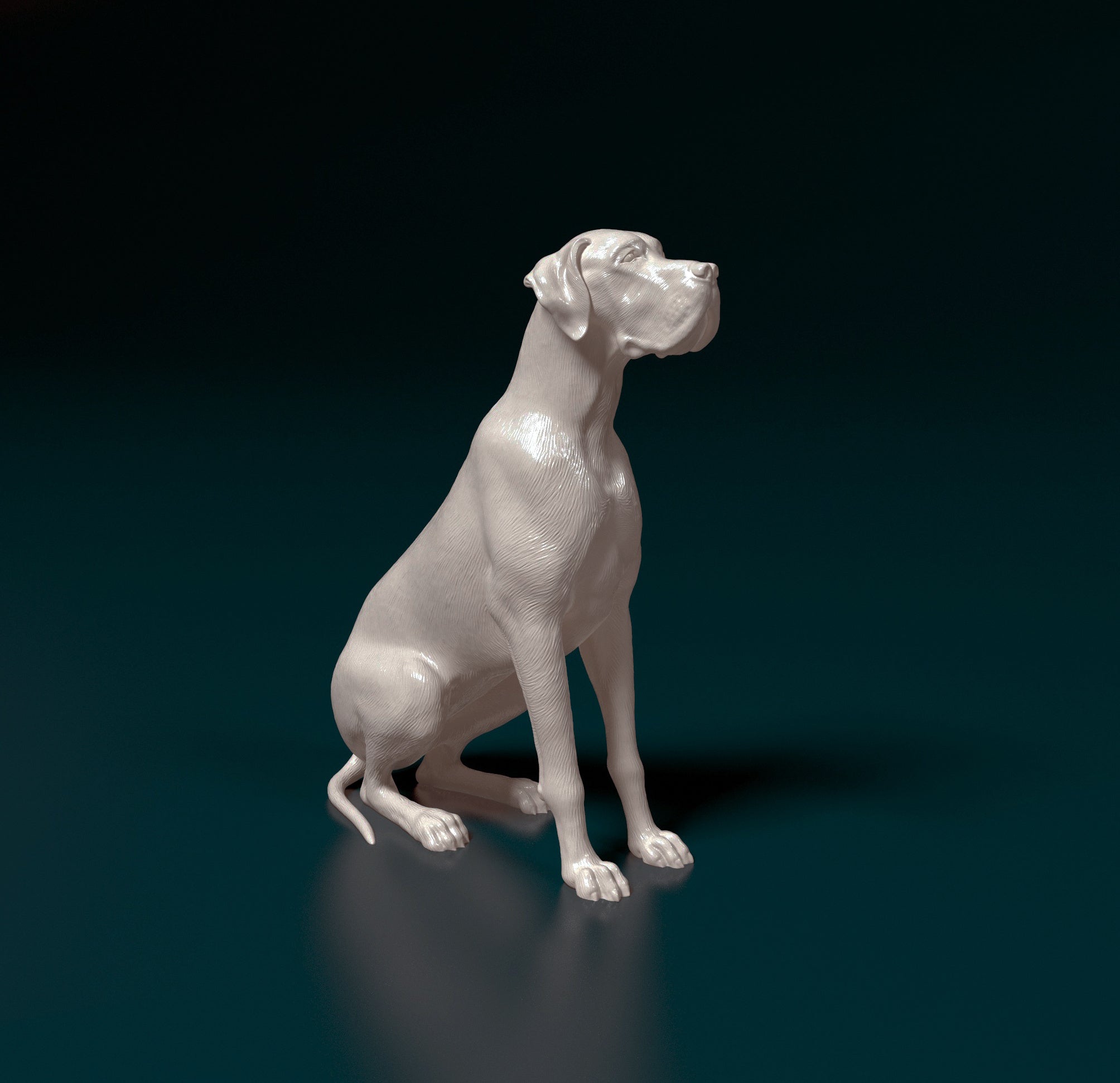 Domestic Animals