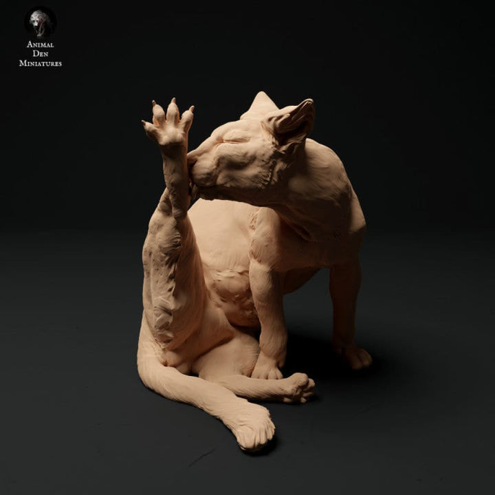132s-004 Farm Cat Pack Animal