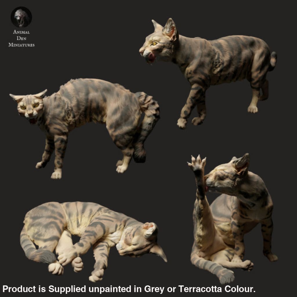 132s-004 Farm Cat Pack Animal
