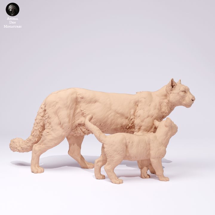 ADM2201 Mountain lion with Cub