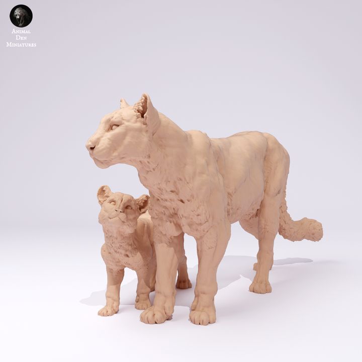 ADM2201 Mountain lion with Cub