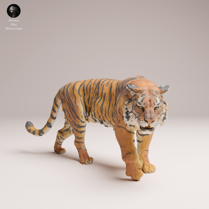 ADM2202 Sumartan Tiger