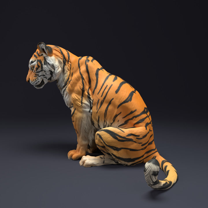 ADM2204 Bengal Tiger