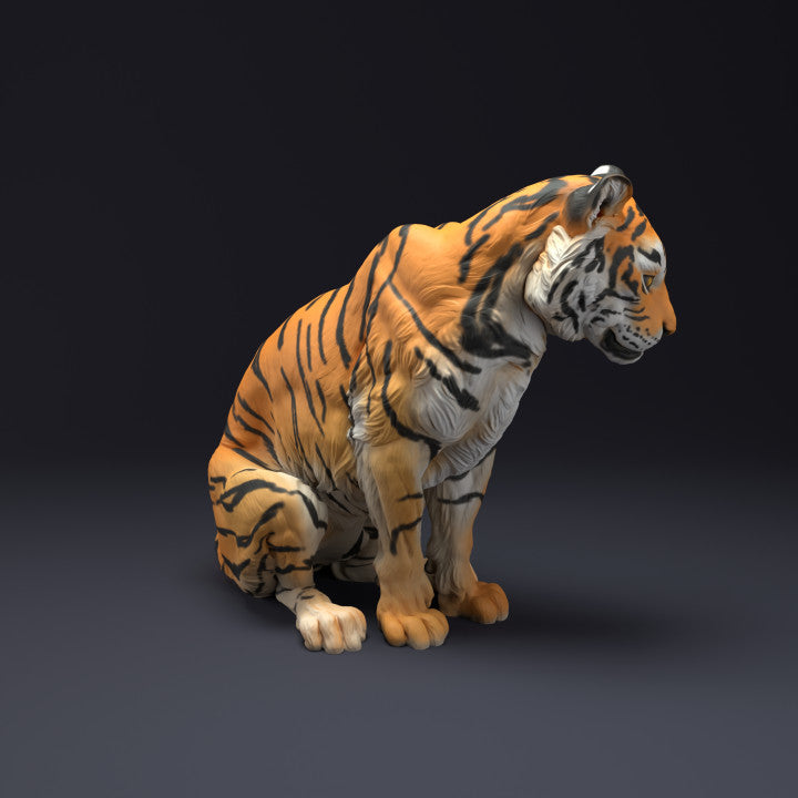 ADM2204 Bengal Tiger