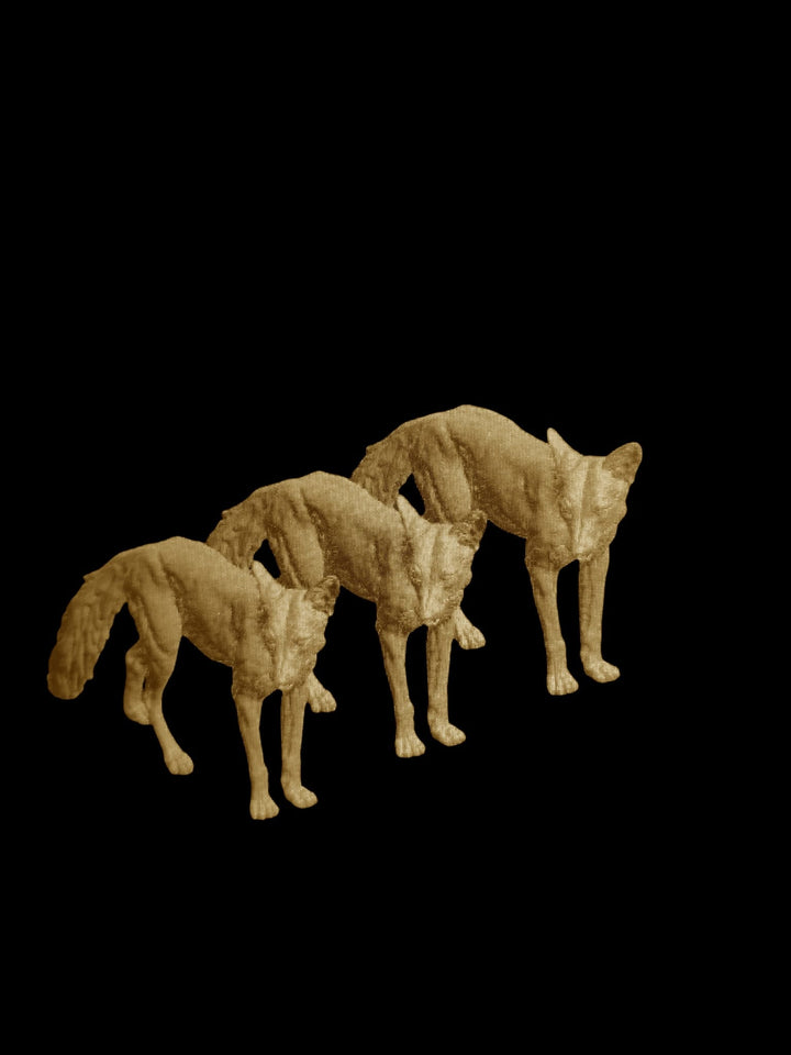 ADM2059 Red fox x 3