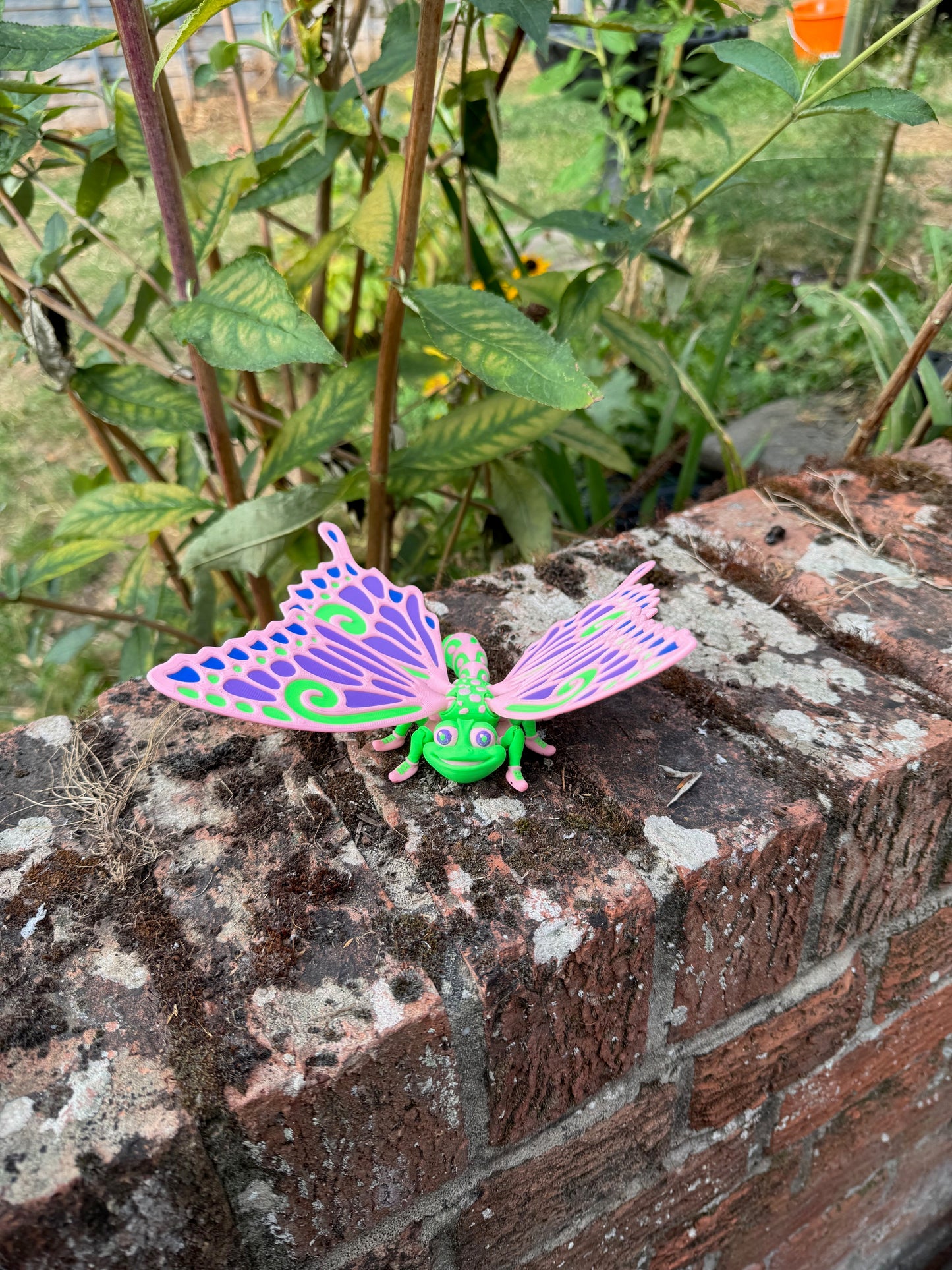 HM036 flexi factory Butterfly