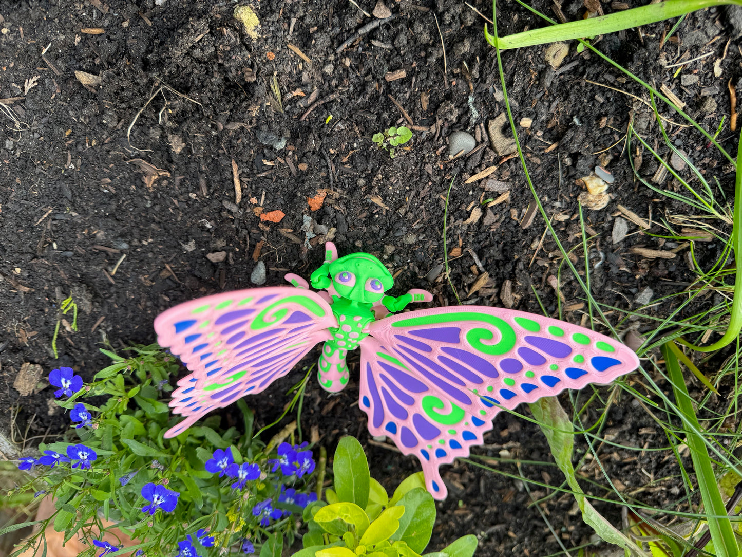 HM036 flexi factory Butterfly