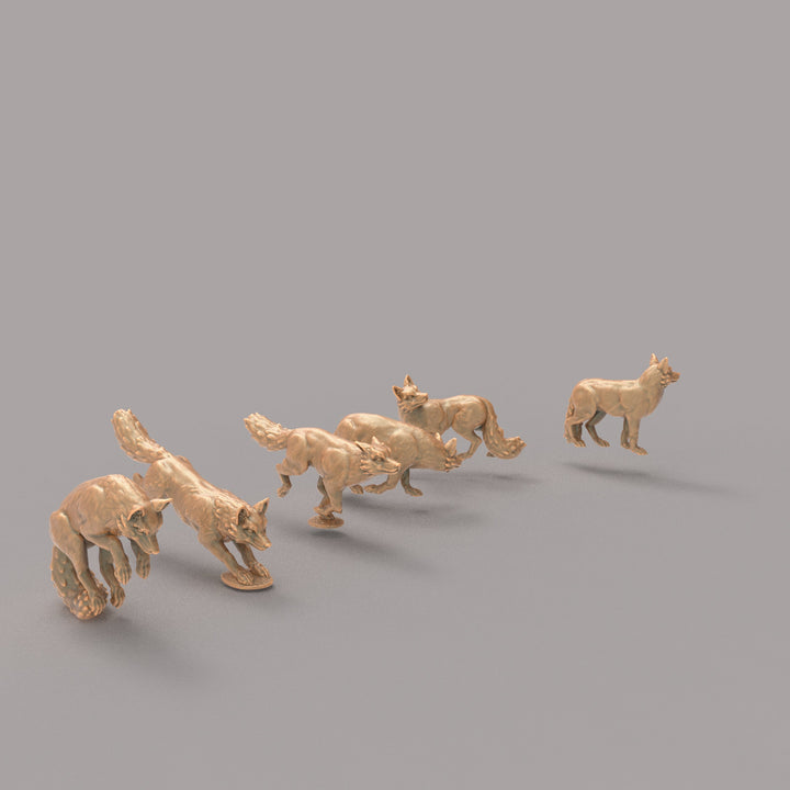 ADM2051 Foxes x 6