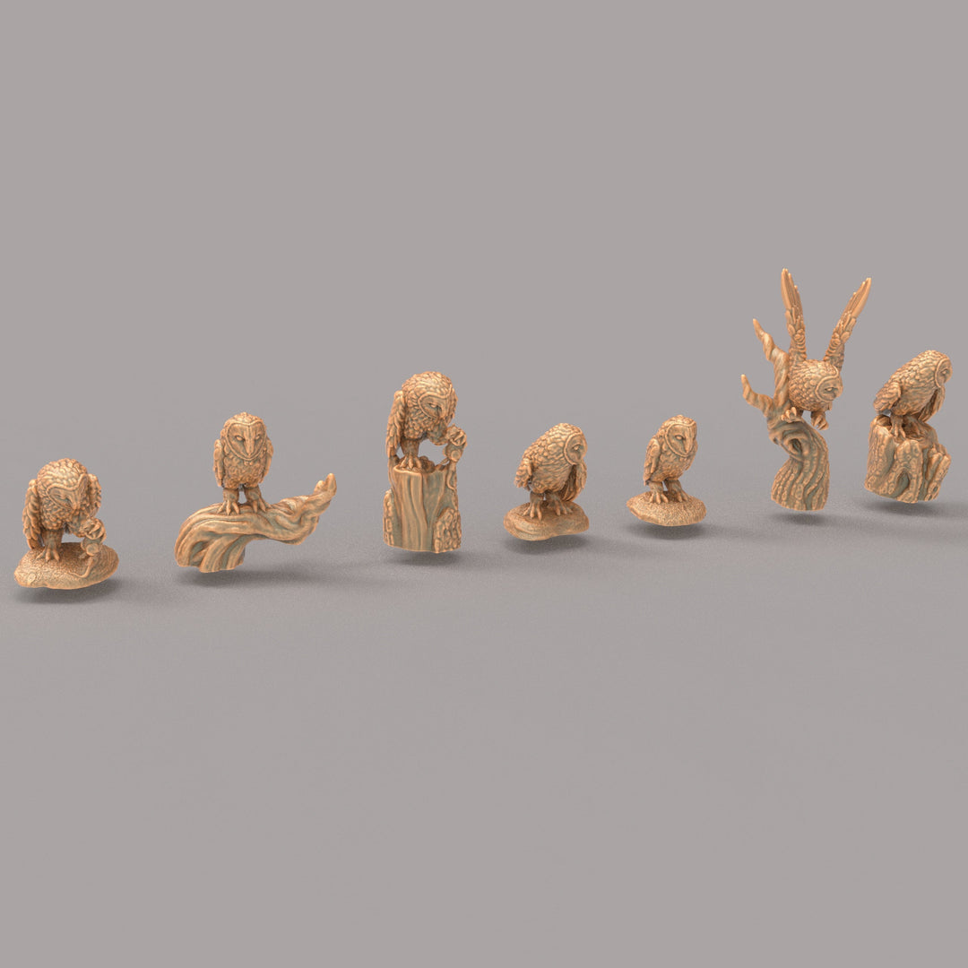 ADM2008 Barn Owl set