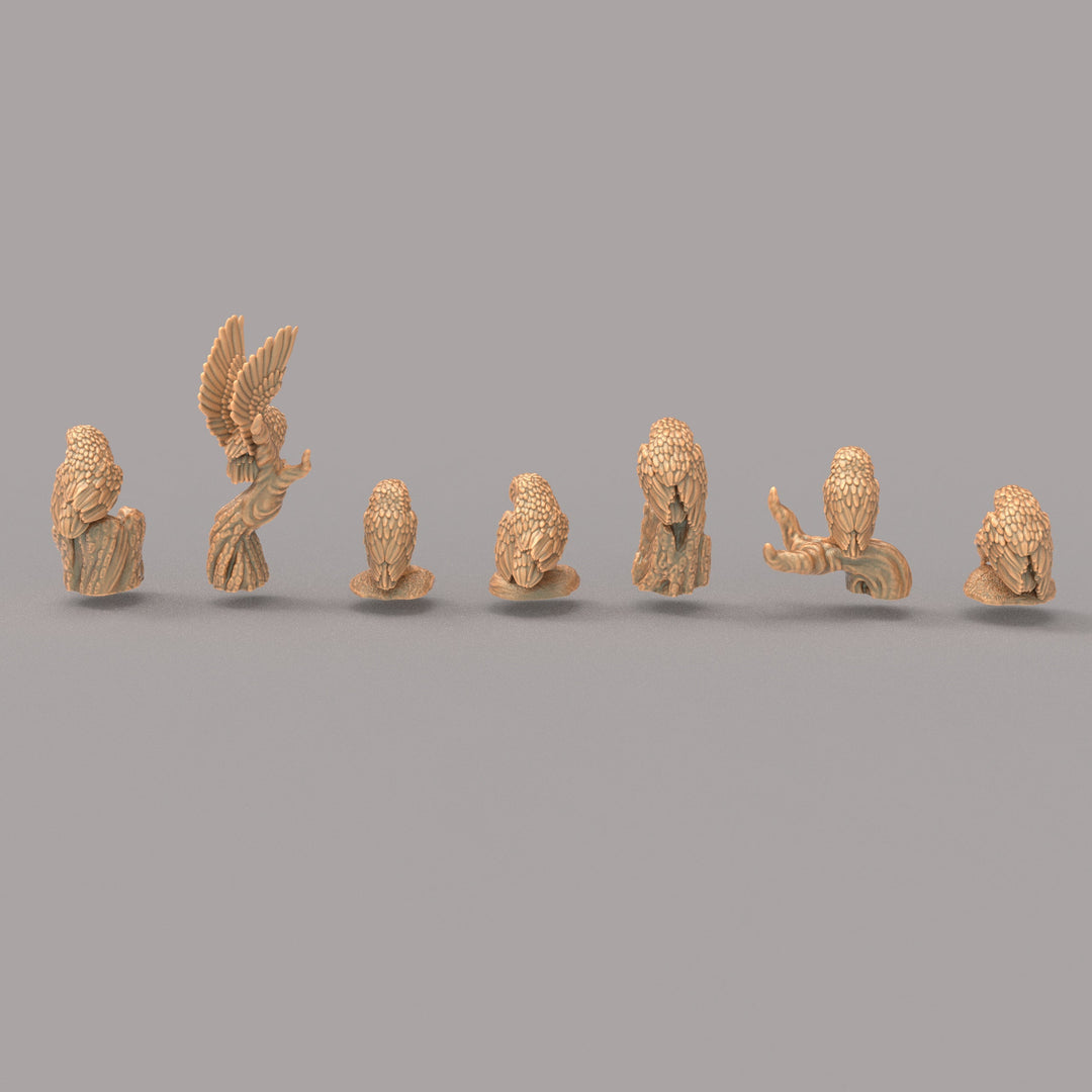 ADM2008 Barn Owl set