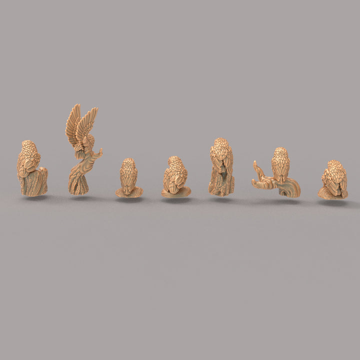 ADM2008 Barn Owl set
