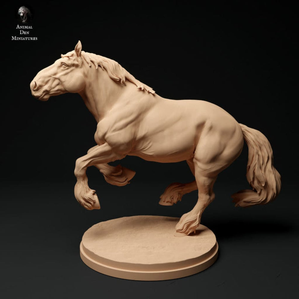 Adm1008 Suffolk-Punch-Horse-Running Animal