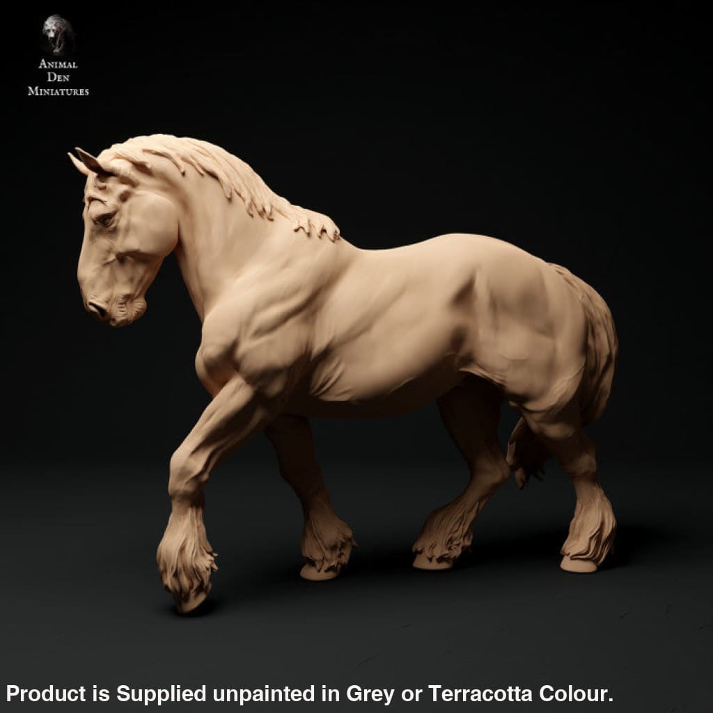 Adm003 Suffolk Punch Horse Walking Animal
