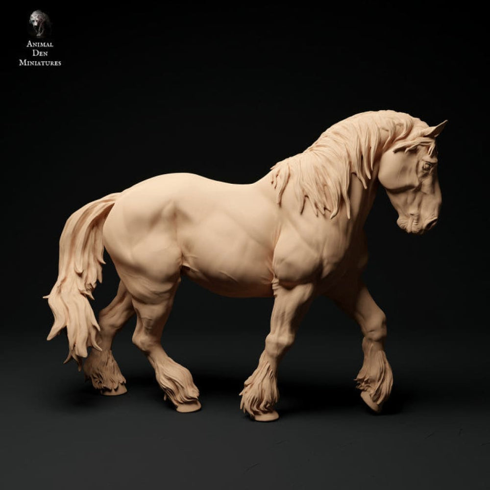 Adm003 Suffolk Punch Horse Walking Animal