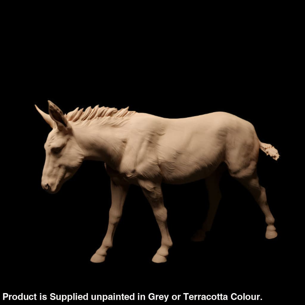 Adm1015 Common-Donkey X 2 Animal