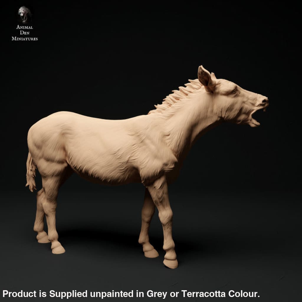 ADM1015 Common Donkey B 1:32 Animal