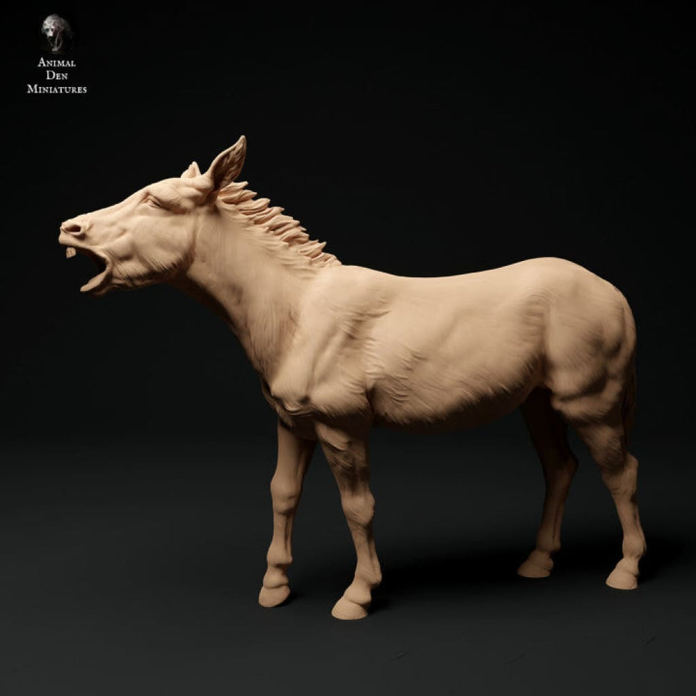 ADM1015 Common Donkey B 1:32 Animal