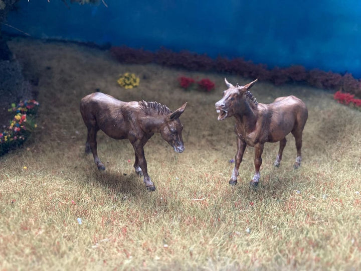 ADM1015 Common-donkey x 2 Animal