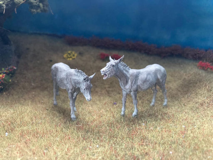ADM1015 Common-donkey x 2 Animal