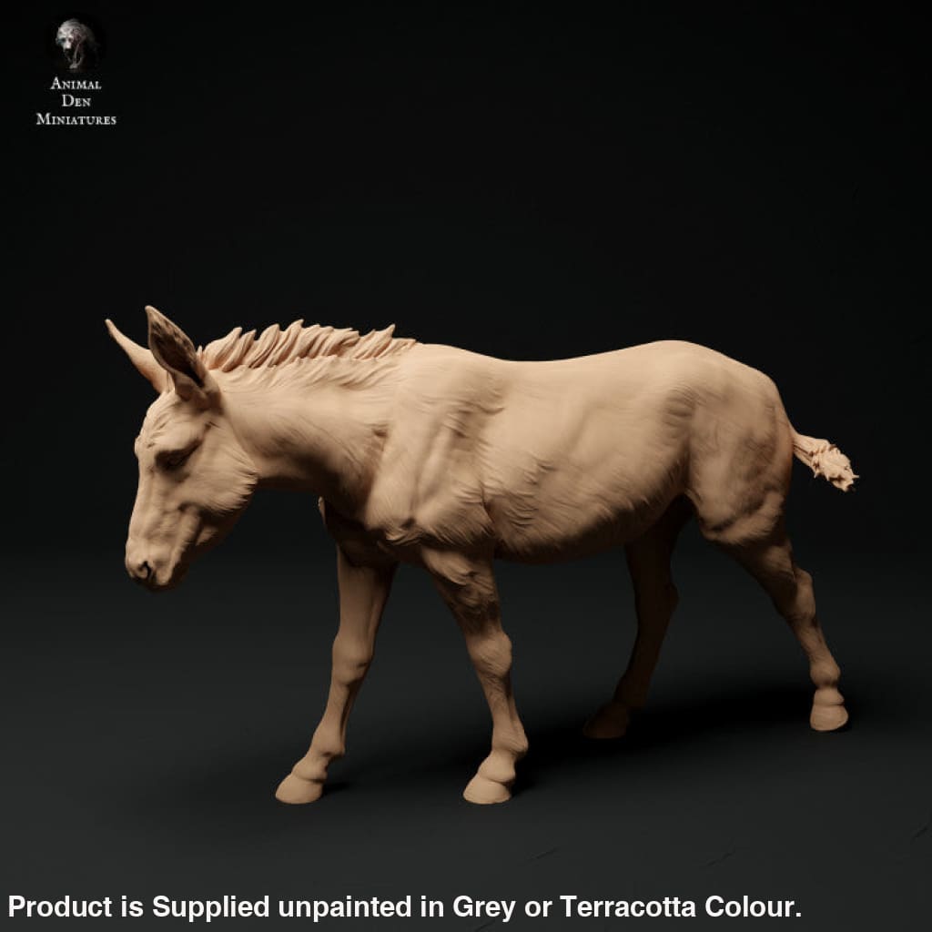 Adm1015 Common-Donkey X 2 Animal