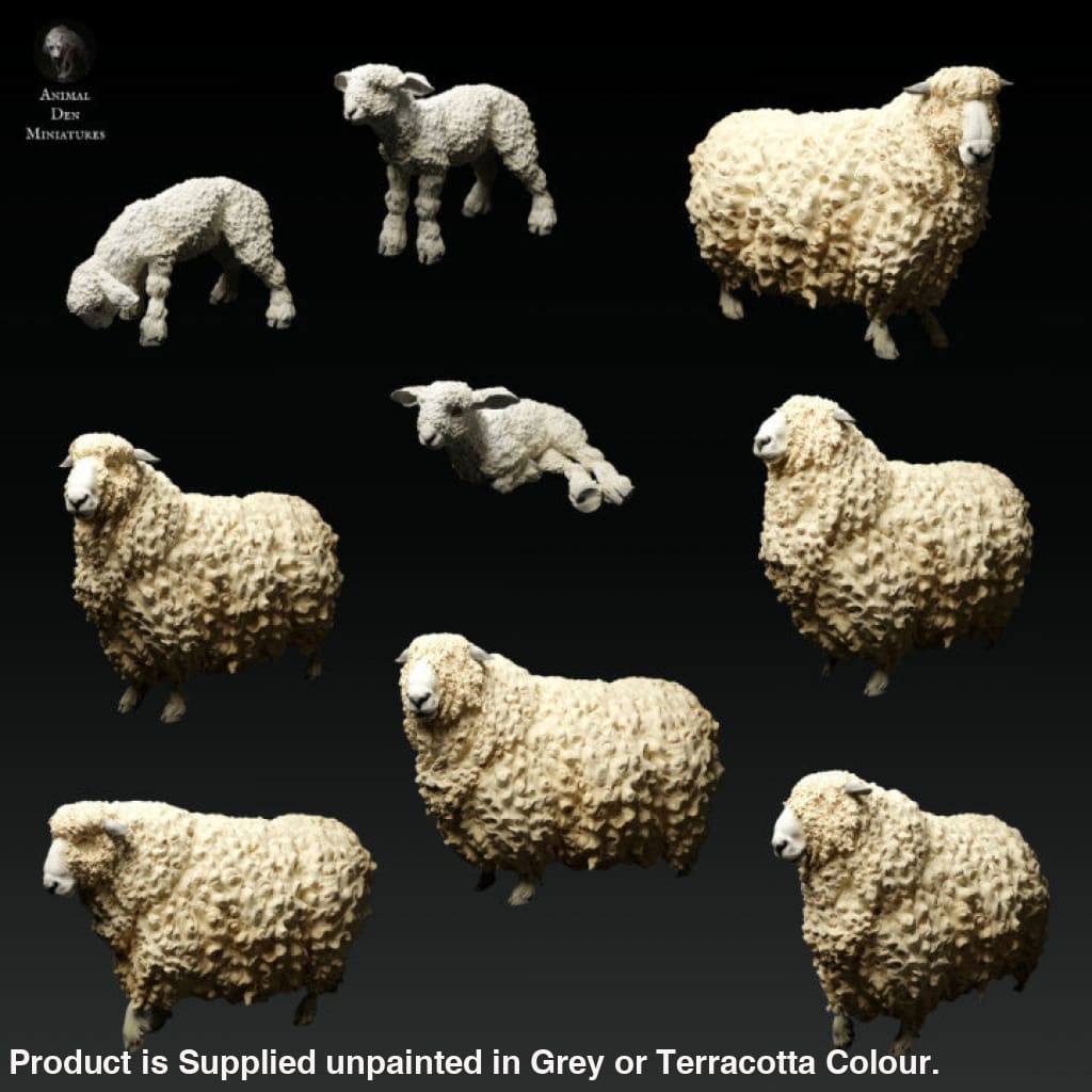 Adm1016 Devon And Cornwall Longwool Sheep Ram Set Animal