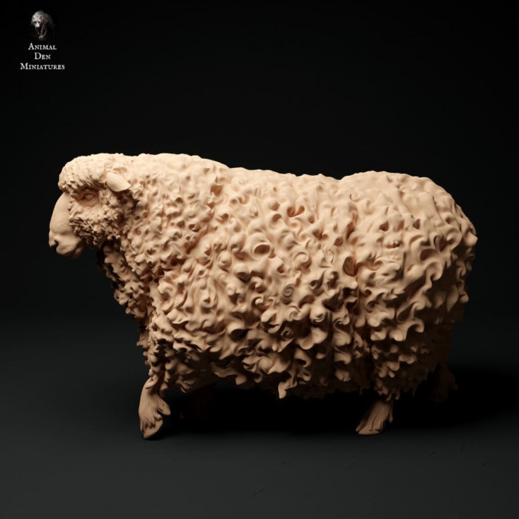 Adm1016 Devon And Cornwall Longwool Sheep Ram Set Animal