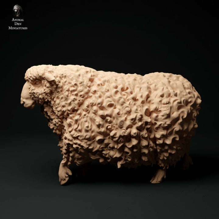 Adm1016 Devon And Cornwall Longwool Sheep Ram Set Animal