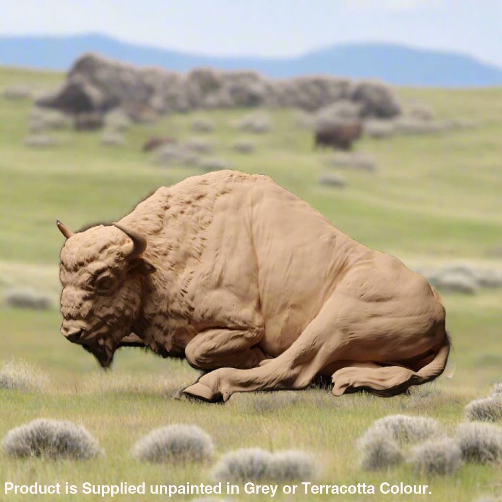 Adm1503 European Bison Lying X 1 Animal