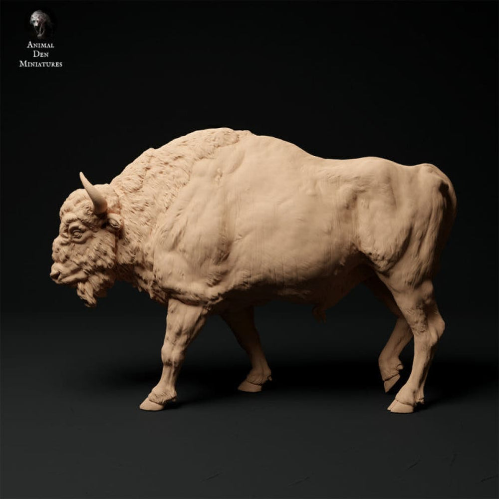 Adm1506 European Bison Walking X 1 Animal