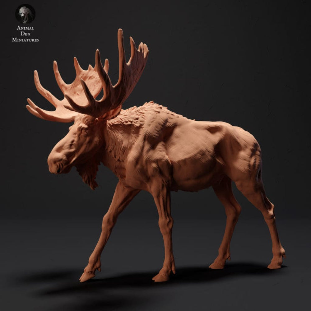 Adm2002 Moose Walking Animal