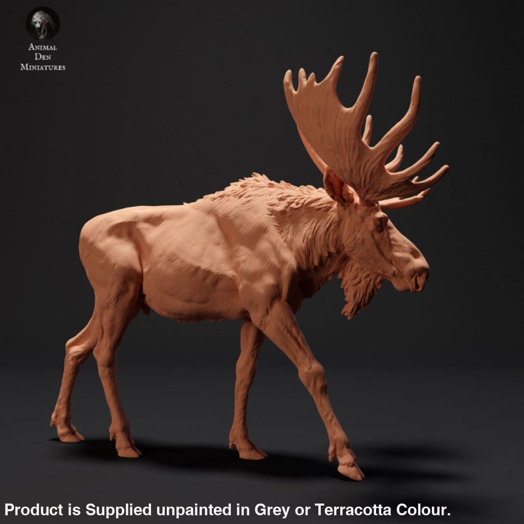 Adm2002 Moose Walking Animal