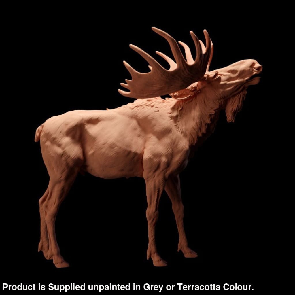 Adm2003 Moose Calling Animal