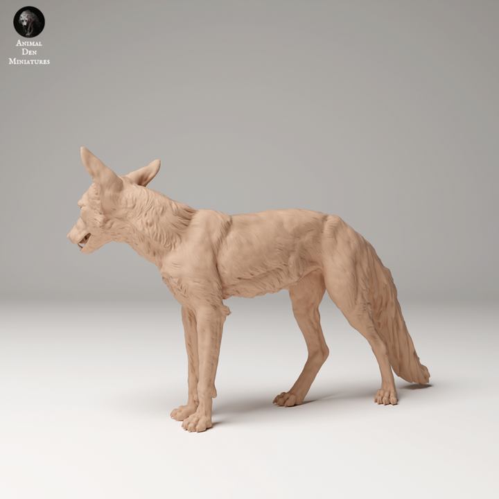 Adm2008 Red Fox X 3 Animal