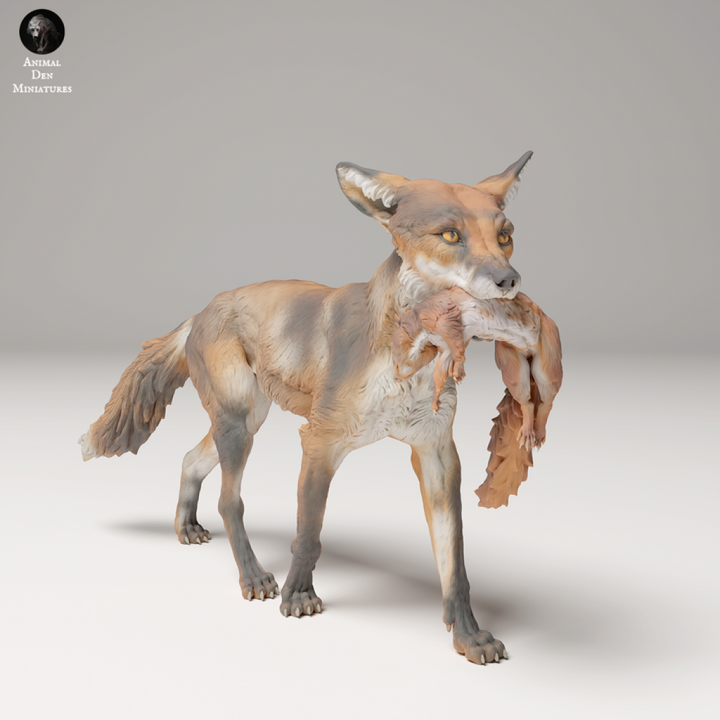 Adm2009 Red Fox Holding A Squirrel X 3 Animal