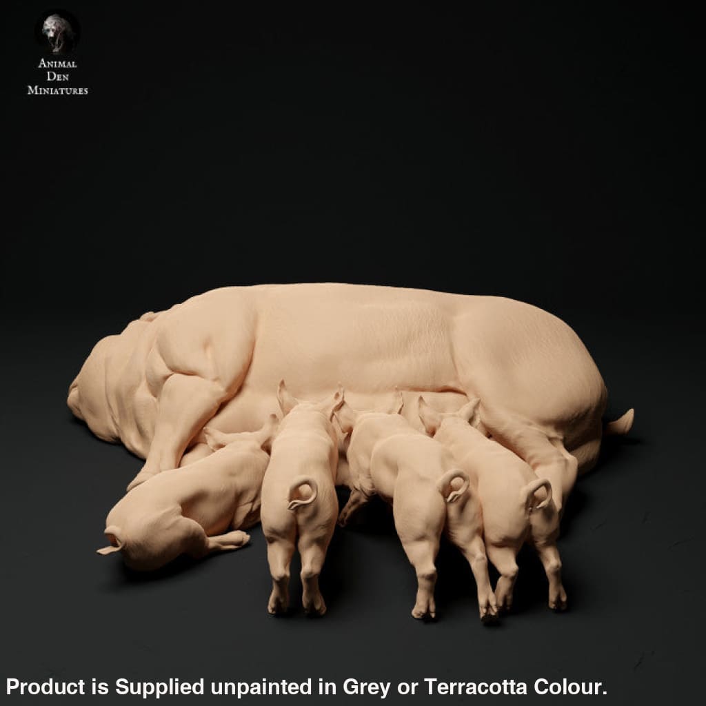 Adm2017 Berkshire Pig And Piglets Animal