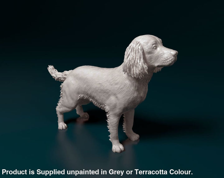 Springer Dog