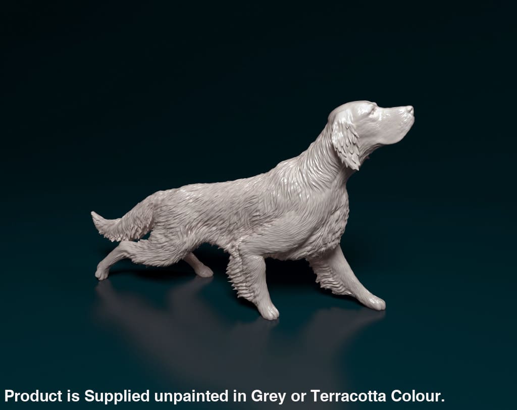 English Setter Dog