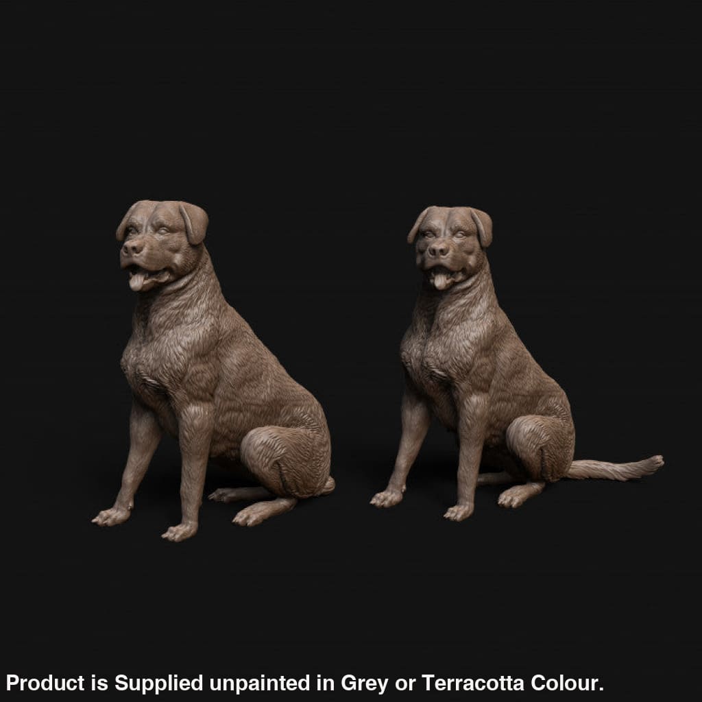 Mmd042 Rottweiler Dog Sitting X 2 Animal