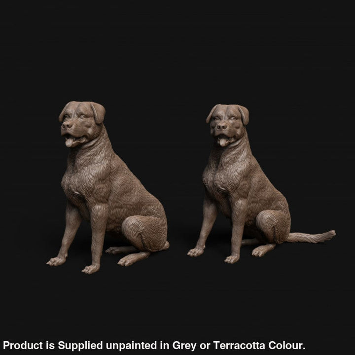 Mmd042 Rottweiler Dog Sitting X 2 Animal