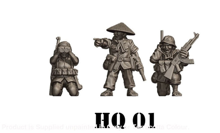 NTH Vietnam VIETCONG Command 01 Figure